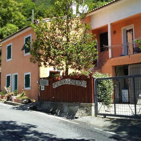 Casa Vacanze L'Agrifoglio Acomodação com café da manhã Magliolo Exterior foto